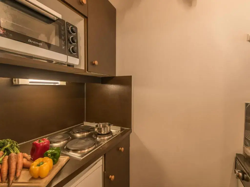 Appartement Chamonix-Mont-Blanc, 2 pièces, 4 personnes - FR-1-517-18