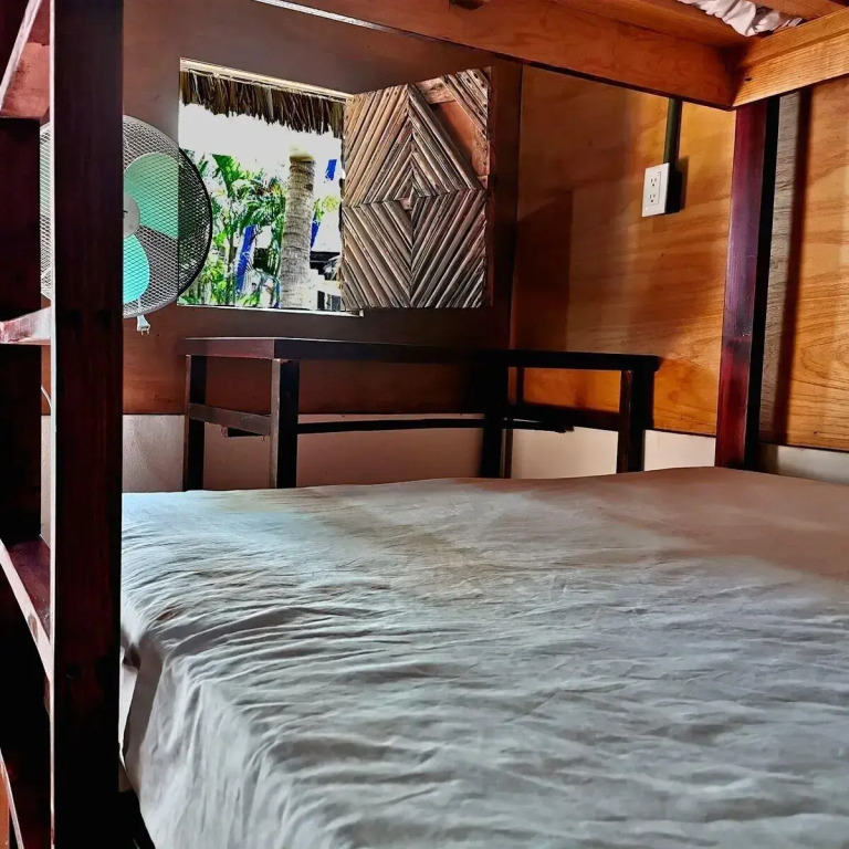 Hotel Frida Paradise