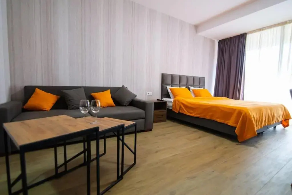 Cozy Studio In Bakuriani / Near Ski Area Didveli