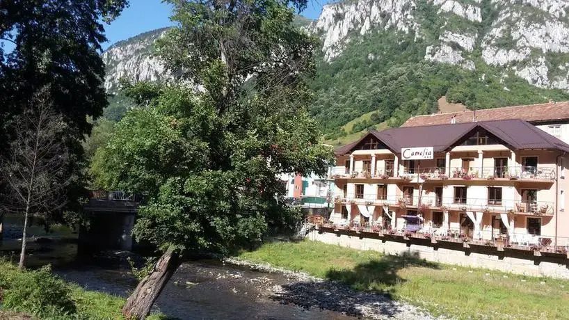 Pension Camelia
