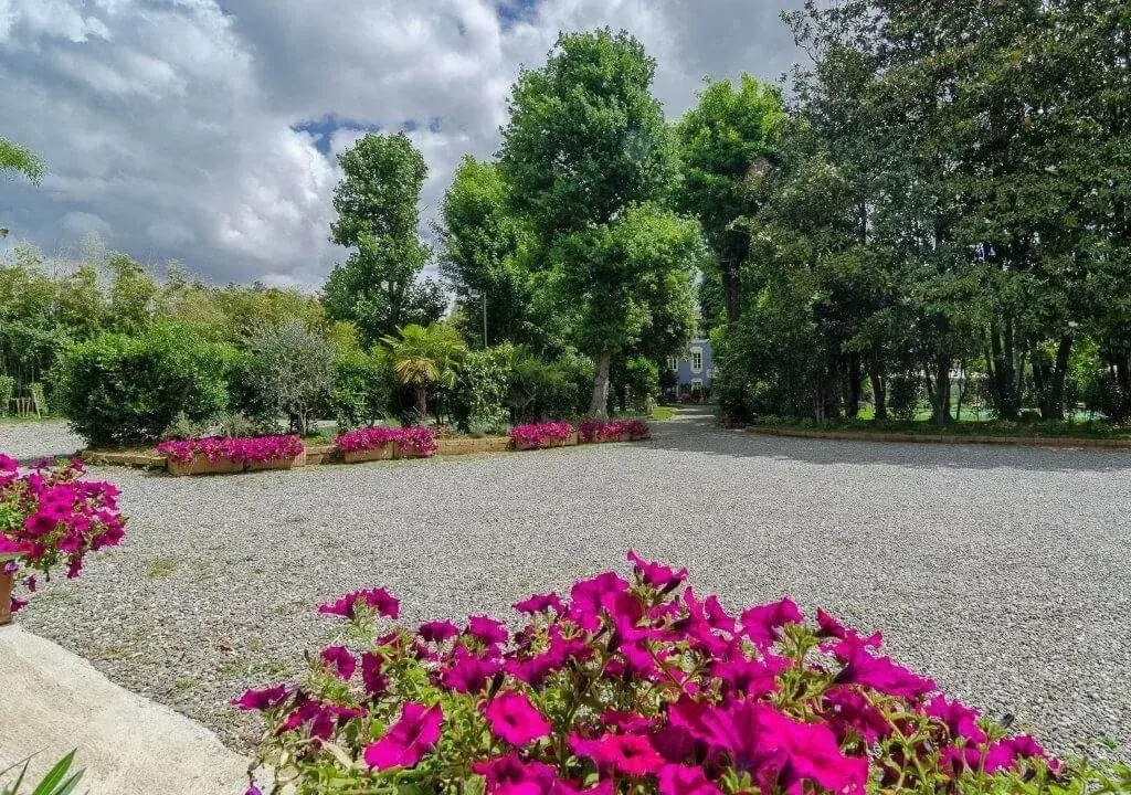Отель Resort dei limoni