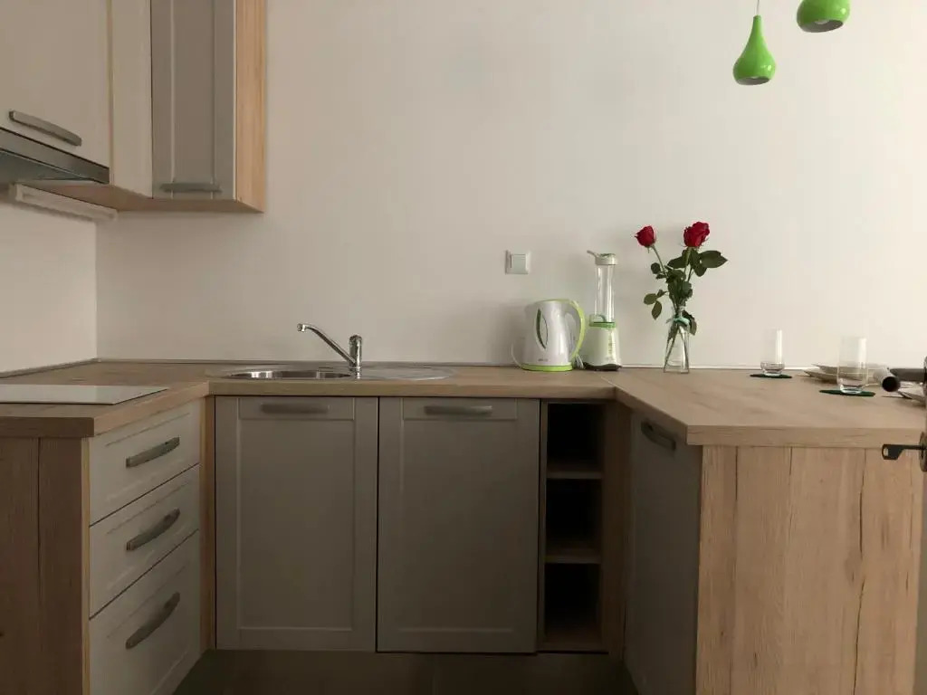 Studio apartment in center of Zagreb "Vidra"