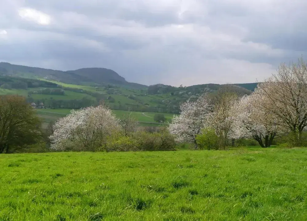 Meadow View Cottage in Winterstein Thuringia near Ski Area