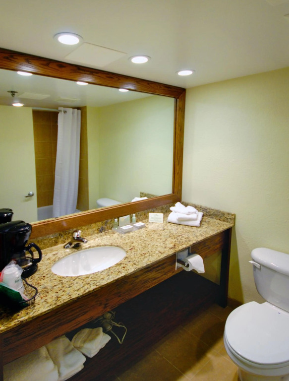 Holiday Inn - Fort Myers - Downtown Area by IHG