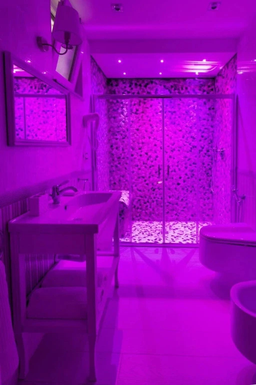 Domus Rosa