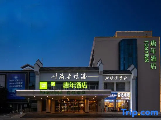 Tony Inn (Hebei Provincial Museum East Street)