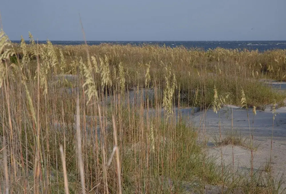 Spacious Condo in the Heart of Hilton Head