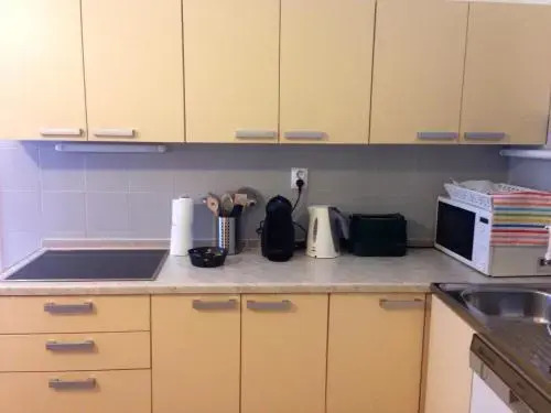 City Classic Apartment