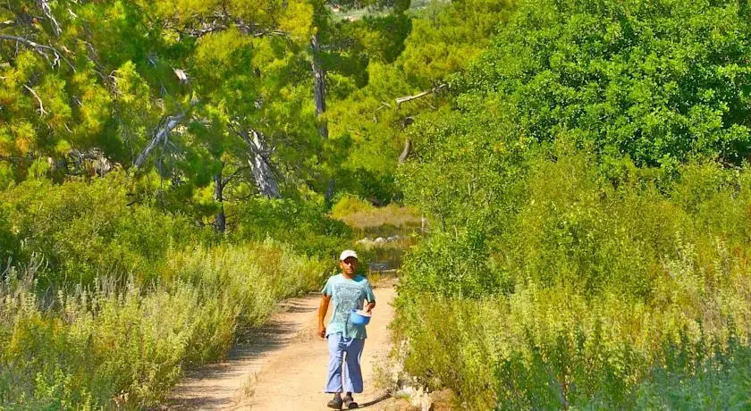 Yuva Eco Holiday Yoga Retreat