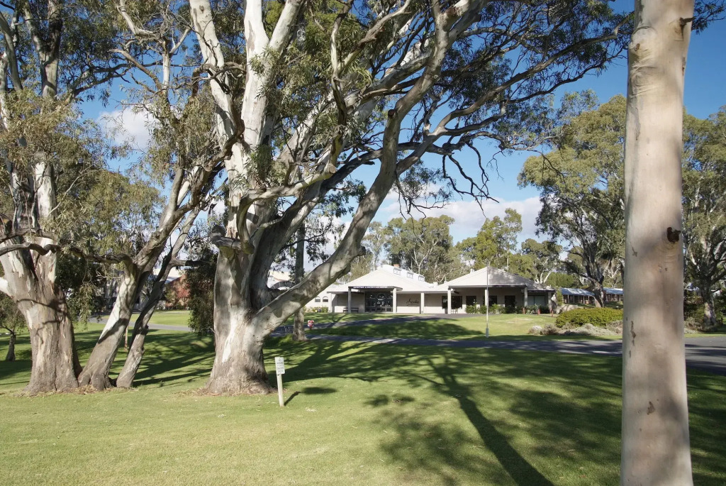 Serafino McLaren Vale