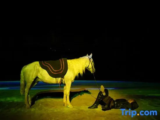 Zhongwei No.7 Starry Sky Tent Hotel