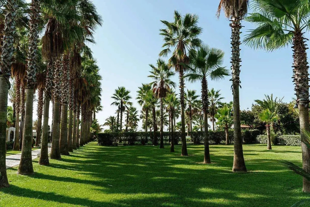 Cliento Resort Velia