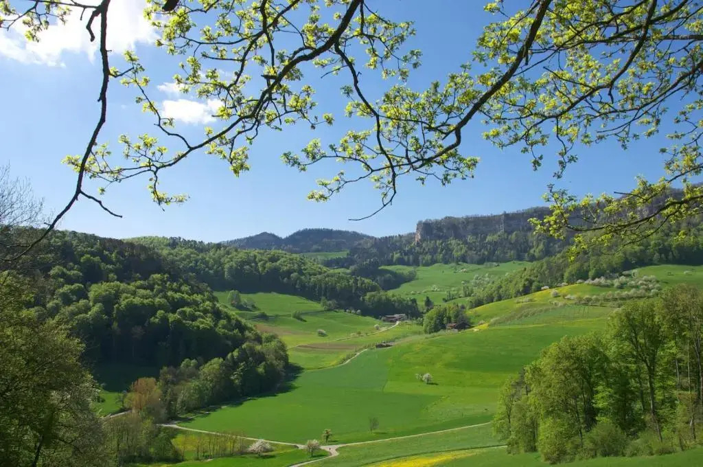 Hotel Bad Ramsach