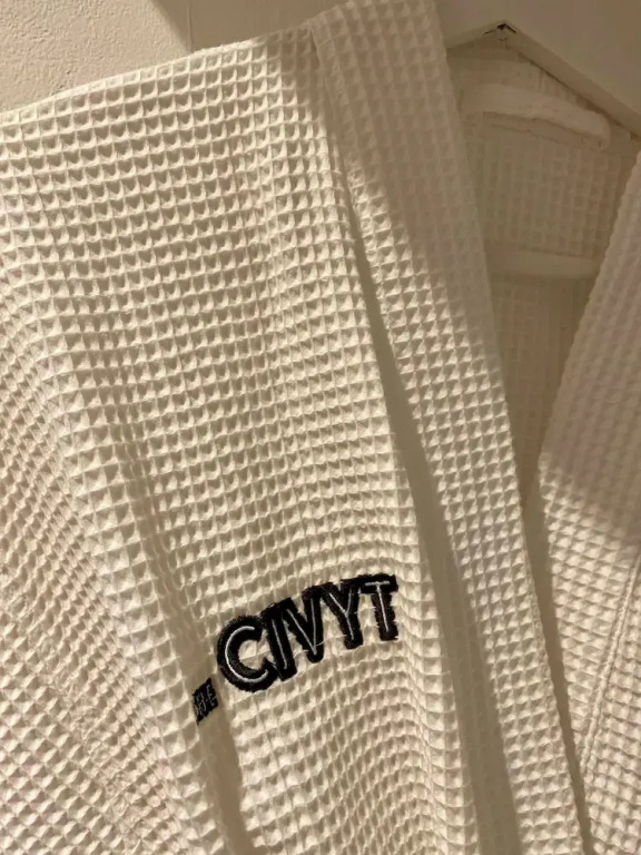 The CIVYT