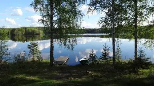 Tiirantuvat