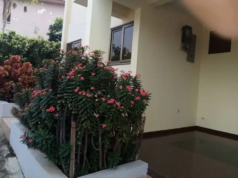 Green Glass Guest House