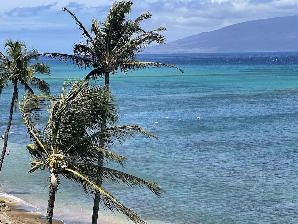 Unforgettable Oceanfront Stay Nature Luxury Tranquility