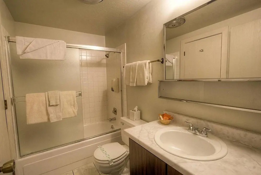 Alder AvenueApartment