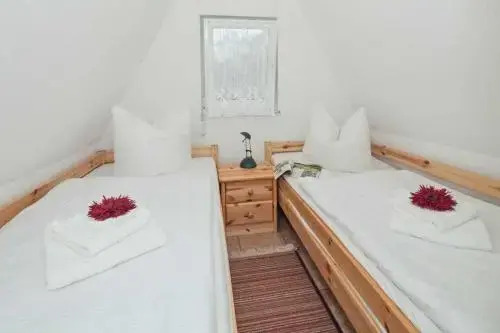 Reetdachhuette im Birkenhain