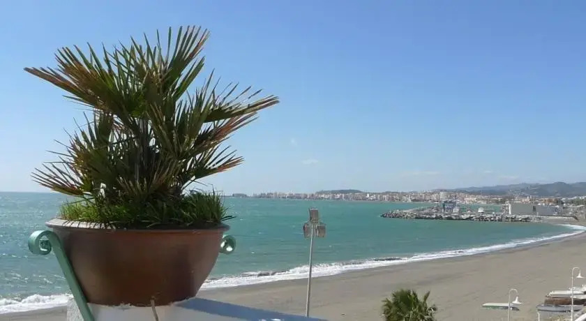 La Paloma