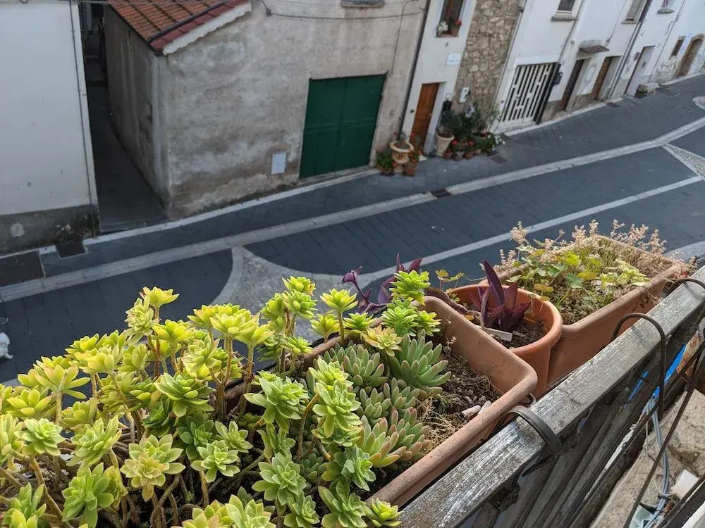 B&B Casa del Prete