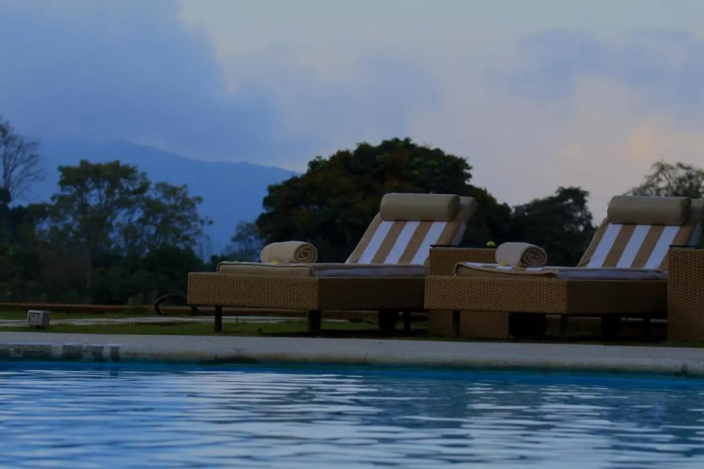 The Tamara Coorg