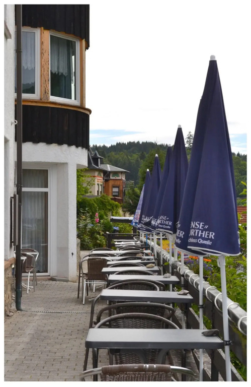 Pension & Restaurant " Zum Harzer Jodlermeister"