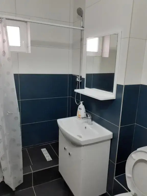 Apartament confortabil în Bucovina