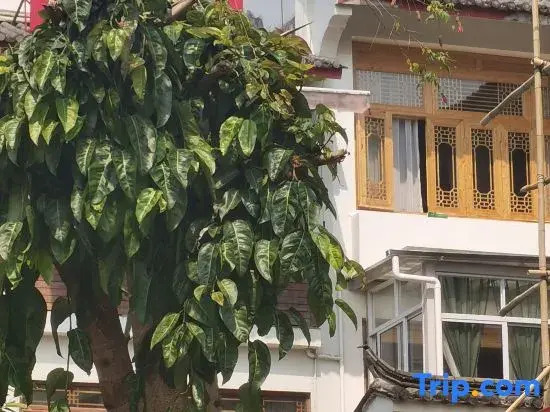 Tengchong Jinshuiwan No.9 B&B