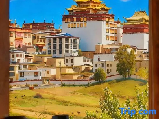 Snow Oxygen Cloud Villa | 360° Panorama Temple View Hotel (Songzanlin Temple)