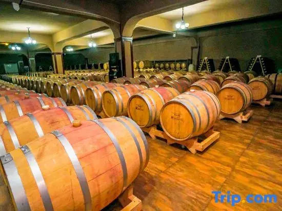 Theme Hotel Turpan Camel Bell Winery