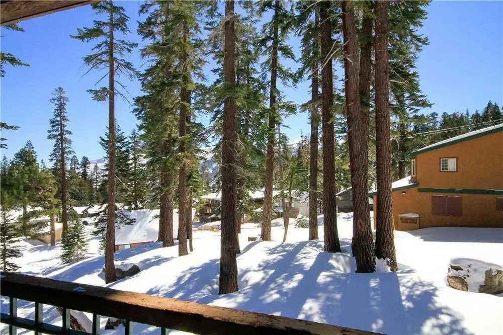 Mountainback 117 Loft