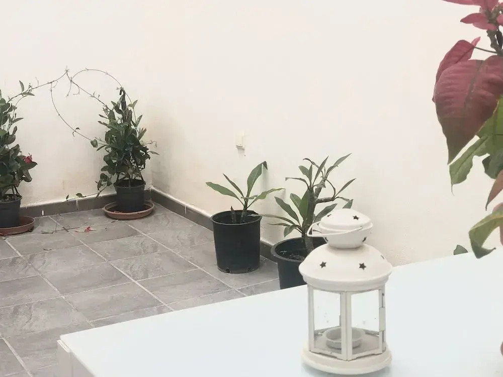 Varela apartamentos  B