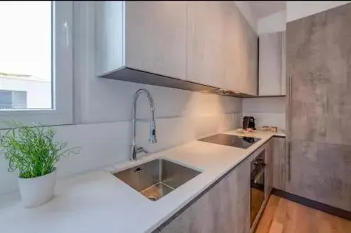 5 Rent Apartments Lugano