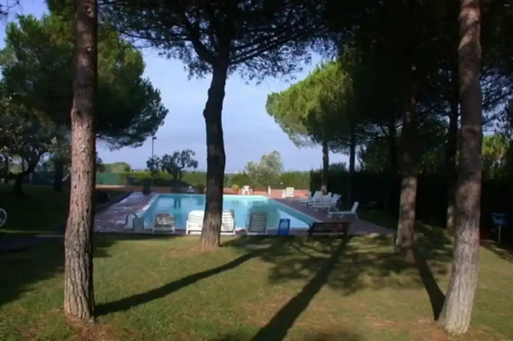 Sonia Suite