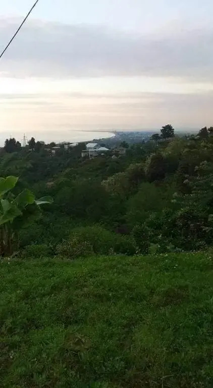 vila guta