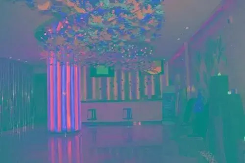 aina hotel(洛阳爱纳艺术酒店)
