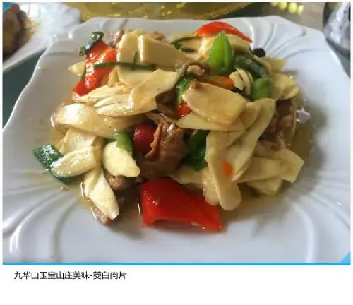 Chizhou Jiuhuashan Xinyuelanting Inn
