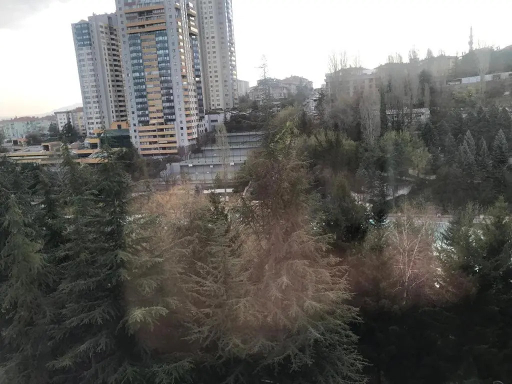 ankara renthal house