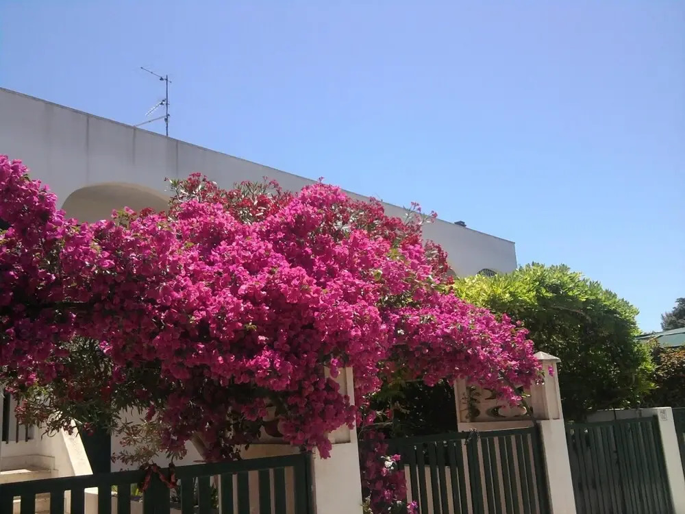 House With 2 Bedrooms in Baia Verde, Gallipoli, With Furnished Terrace