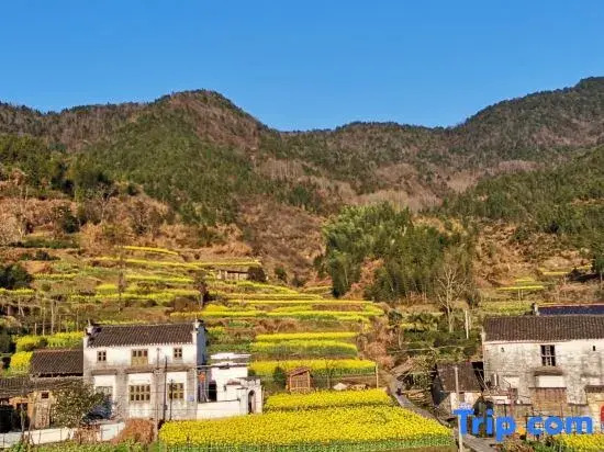 Wuyuan Youyicun Inn