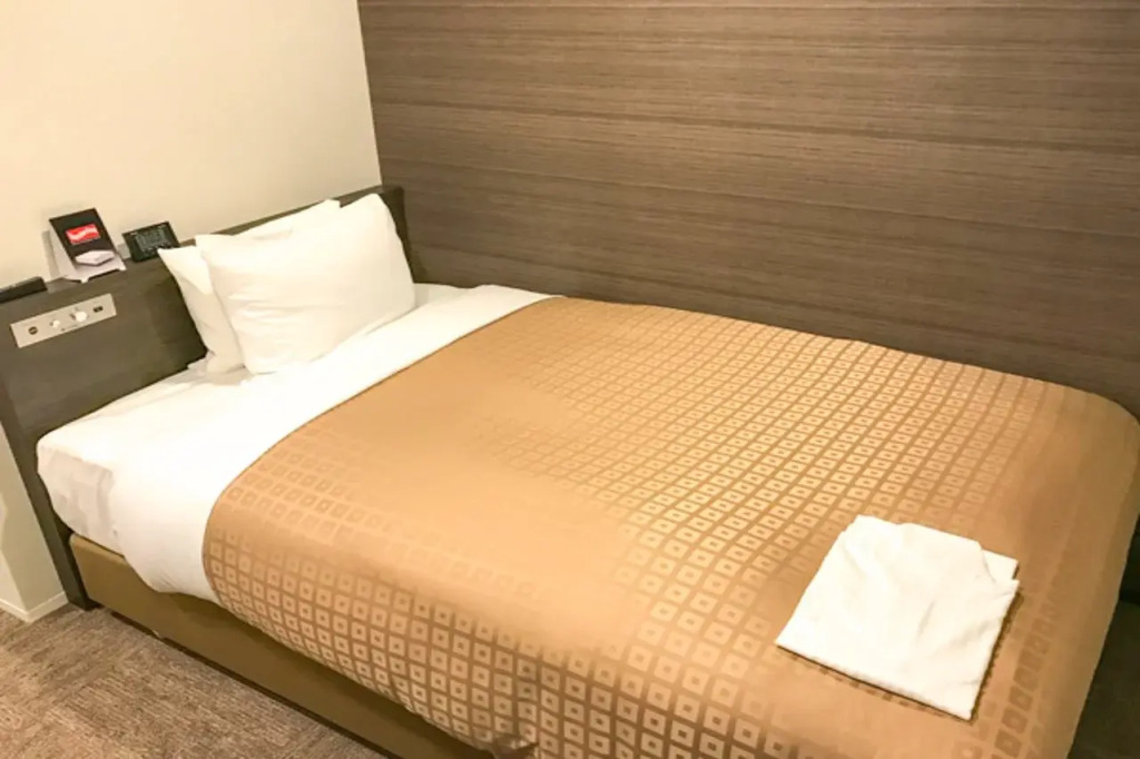 Hotel Livemax Toyama