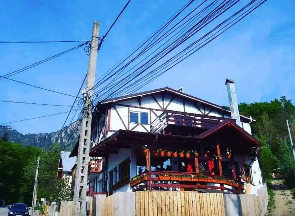 AmurguluiBnB 3 Rooms Apartment with Mountain View