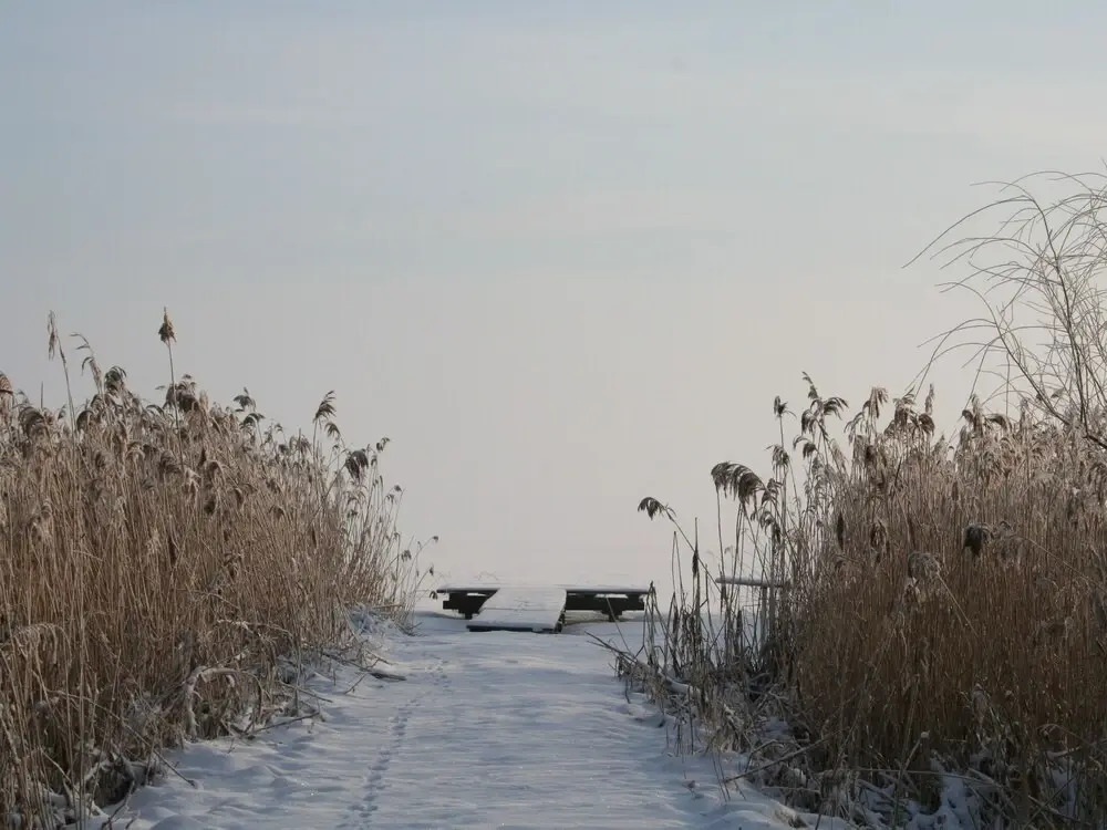 Ilonas Seeblick - Licht und Stille