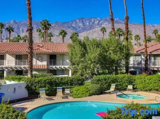 Stylish Condo With Panoramic View Community Pool