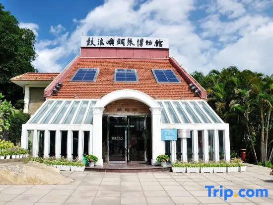 Xiamen Jinjiu Hotel