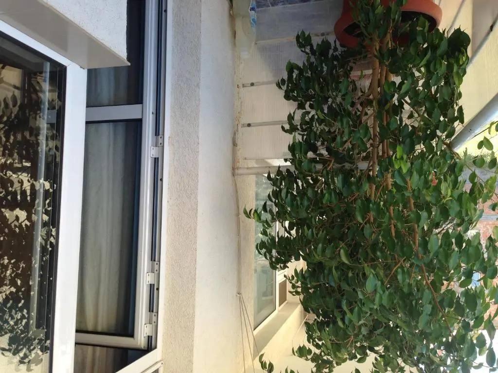 Zoya Guest House