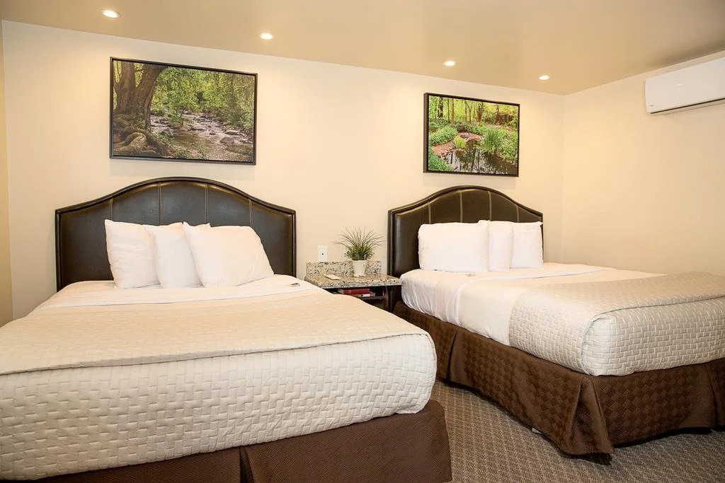 Primrose Inn and Suites