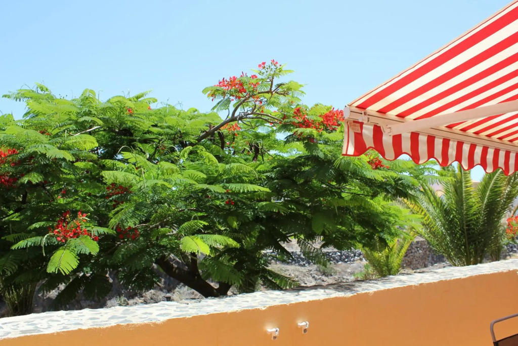 Perfecto apartamento de playa