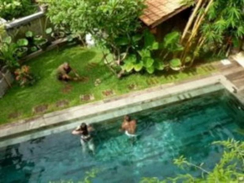 Mesui Home